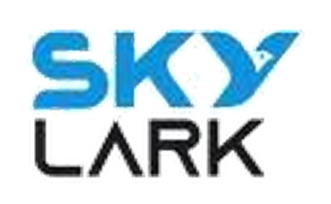 Logo Skylark Services